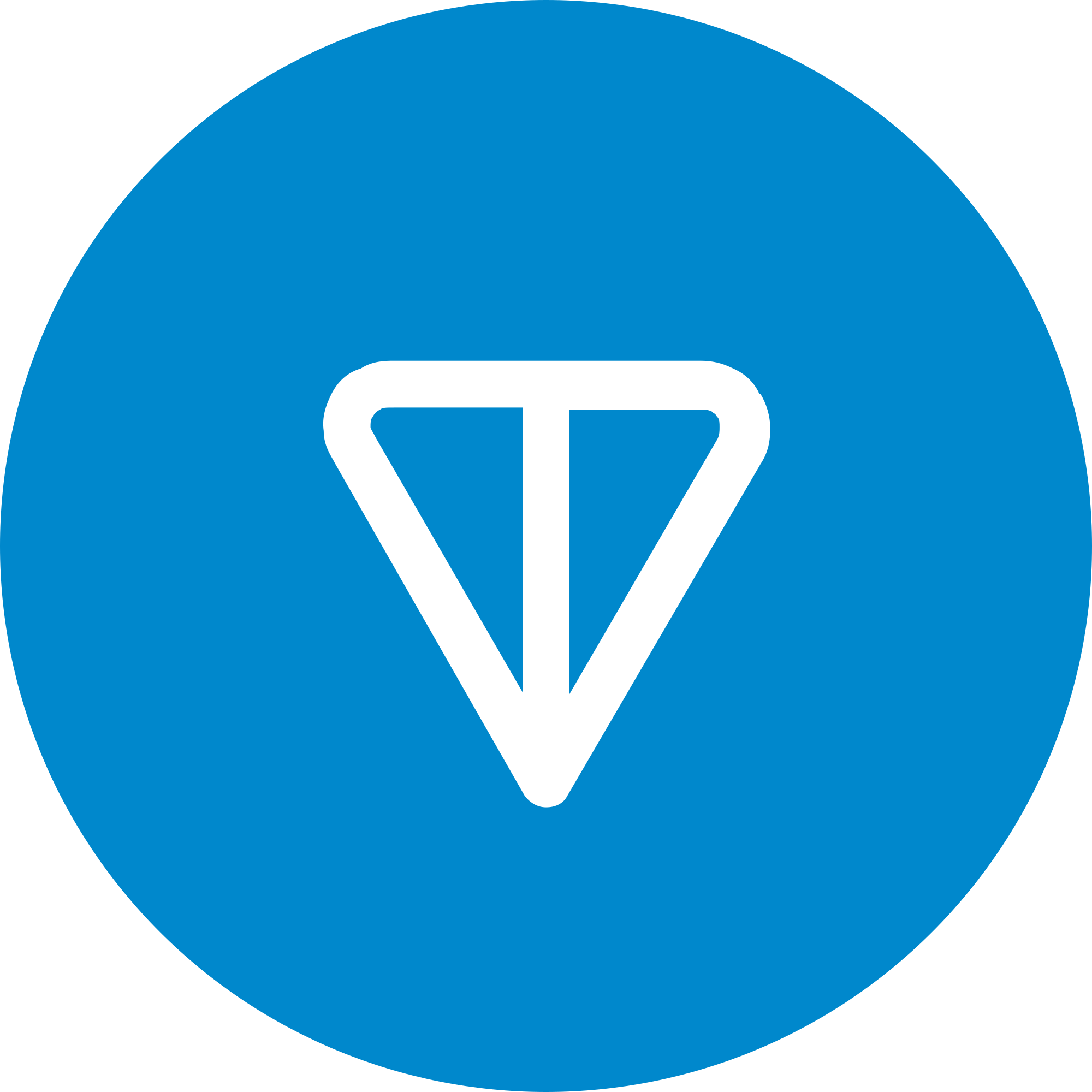 Ton wallet image